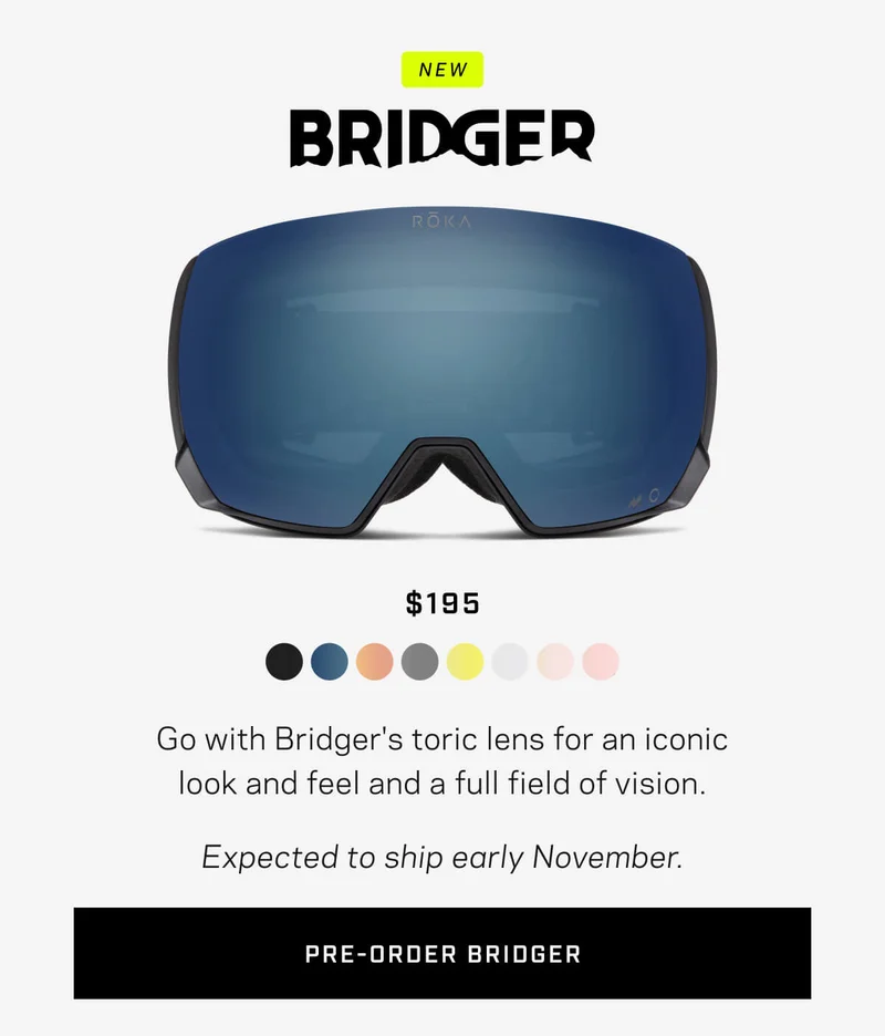 NEW - Shop Bridger Snow Goggle