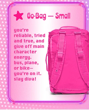 go bag small