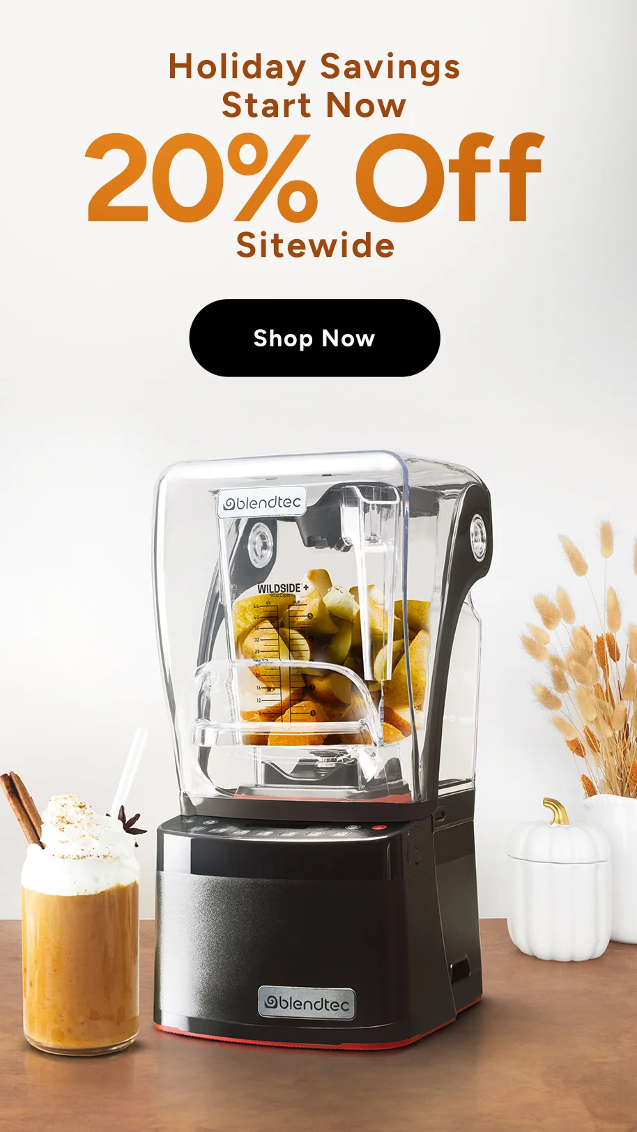 Blendtec - Holiday Savings