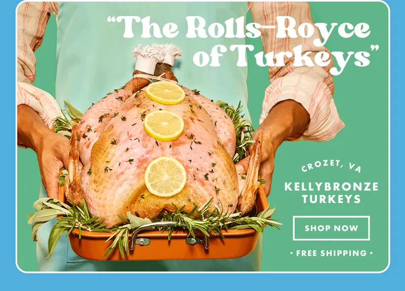 Kelly Bronze Turkeys Kelly Bronze Turkeys