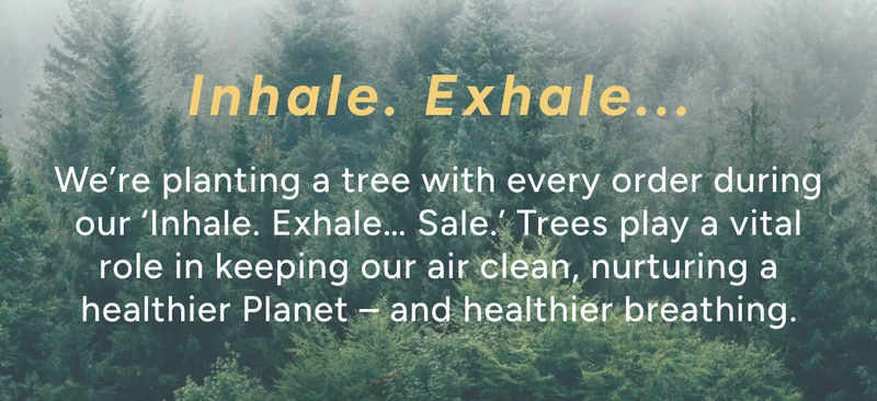 Transform your yoga practice