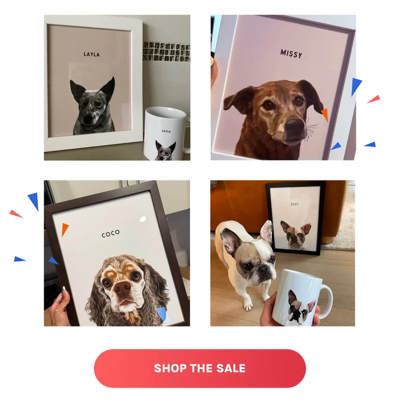 Shop The Sale