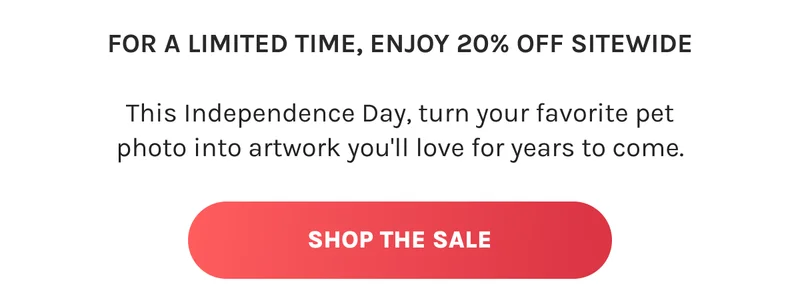 Shop The Sale