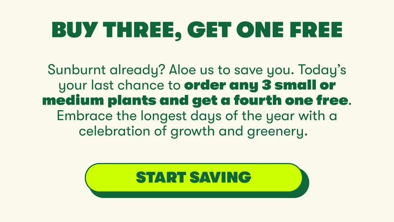 BUY THREE, GET ONE FREE