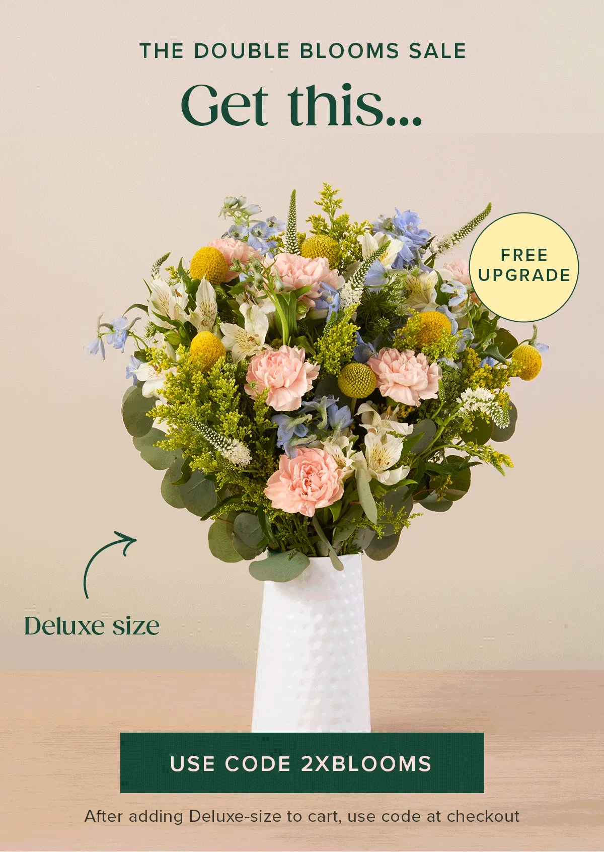 The Double Blooms Sale: Free Upgrade! Go from an original...to a deluxe for FREE! Use code 2XBLOOMS. After adding Deluxe-size to cart, use code at checkout