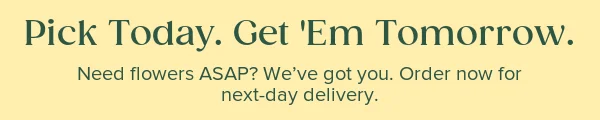 Pick Today. Get 'Em Tomorrow. Need flowers ASAP? We've got you. Order now for next-day delivery.