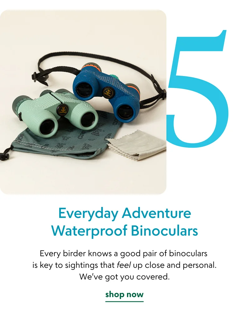 everyday-adventure-waterproof-binoculars