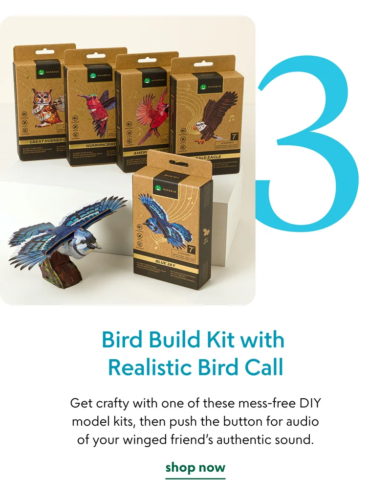 bird-build-kit-with-realistic-bird-call