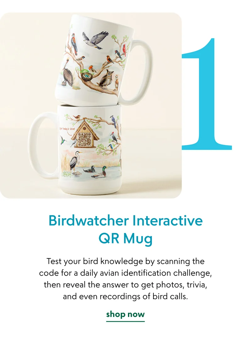 birdwatcher-interactive-qr-mug
