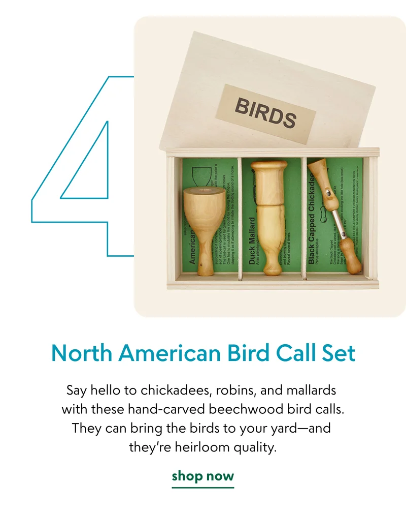 north-american-bird-call-set