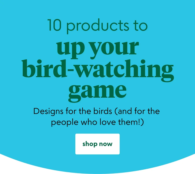 bird-watchers