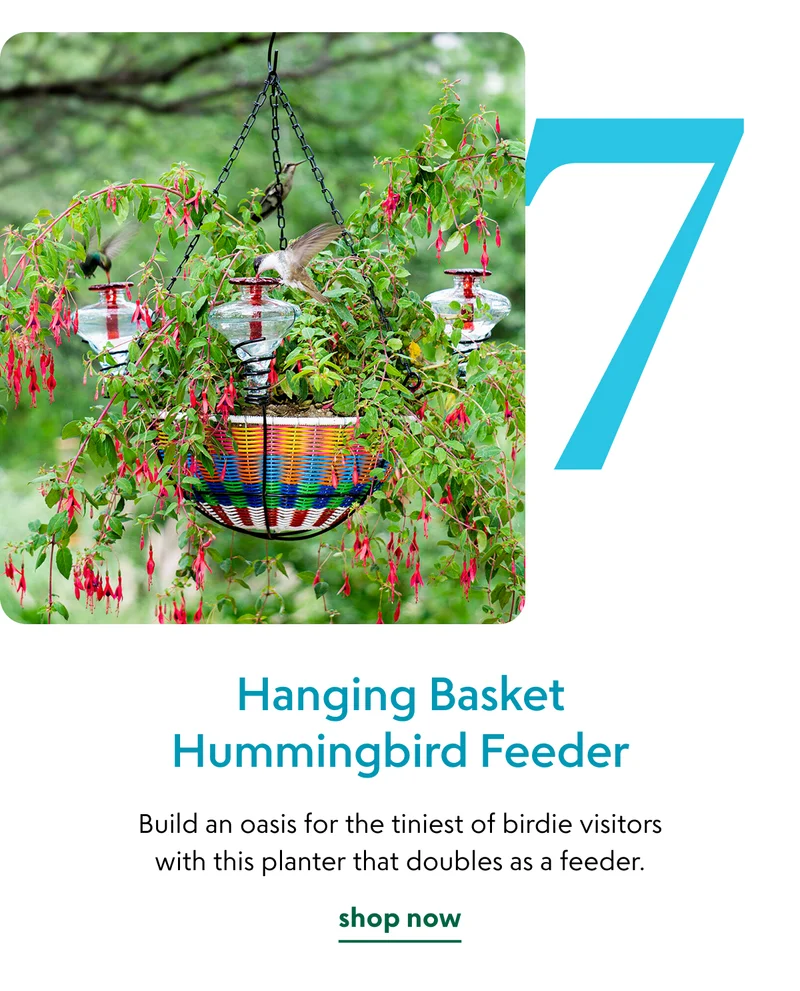 hanging-basket-hummingbird-feeder