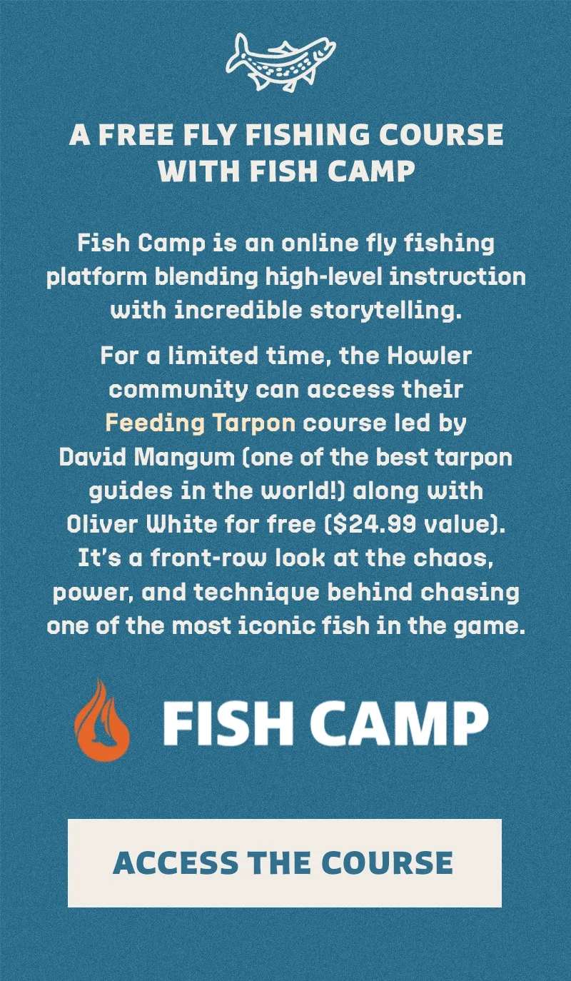 A Free Fly Fishing Course With Fish Camp A Free Fly Fishing Course With Fish Camp
