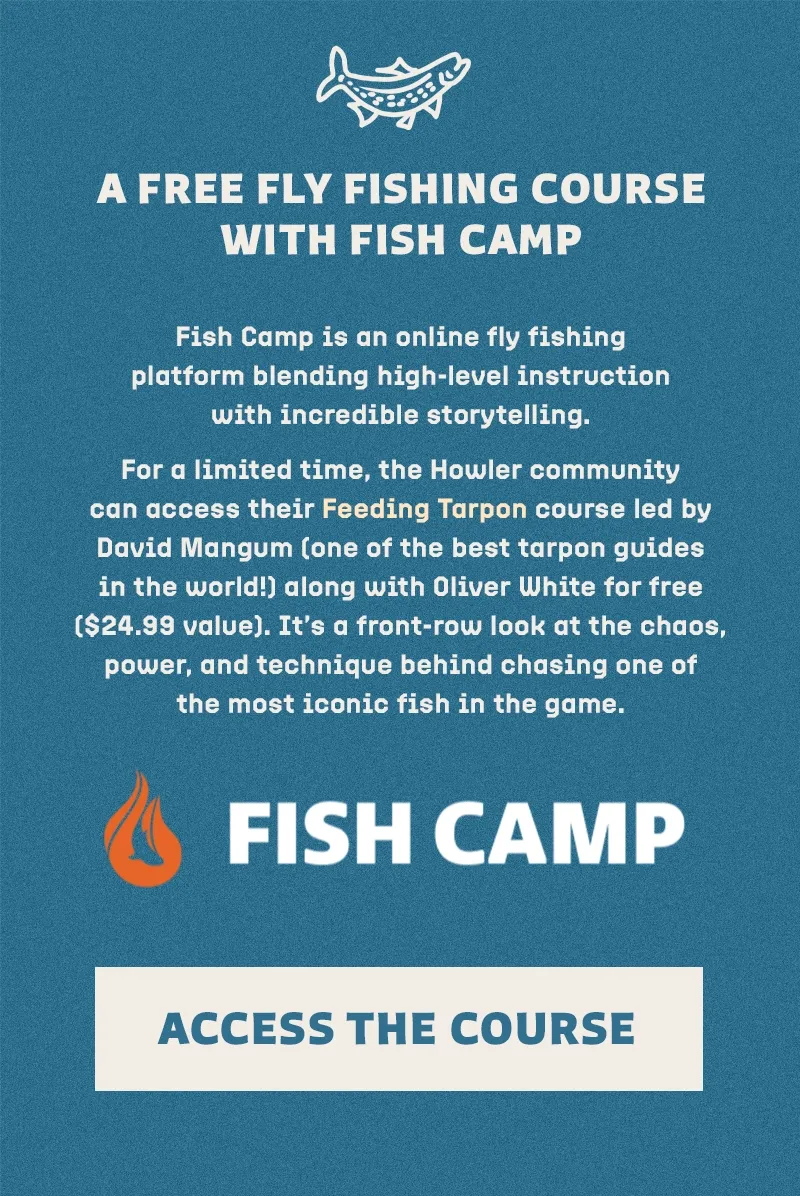 A Free Fly Fishing Course With Fish Camp