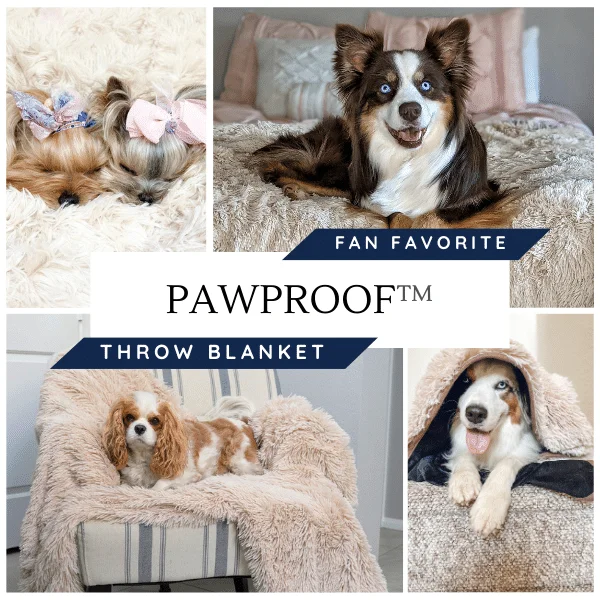 PawProof