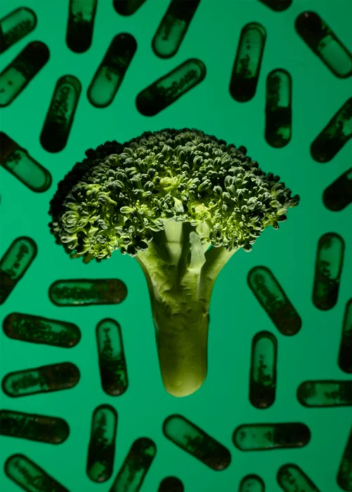 Broccoli is a surprisingly good source of protein, says Christopher Gardner, director of nutrition studies at the Stanford Prevention Research Center in California. It's also packed fiber, which can help with digestive health, blood sugar regulation, lowering LDL (bad) cholesterol levels, and reducing cancer and heart disease risk.