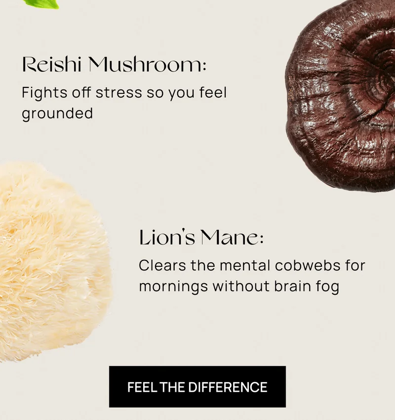 L-Theanine: Eases anxiety and supports deeper sleep | Reishi Mushroom: Fights off stress so you feel grounded | Lion's Mane: Clears the mental cobwebs for mornings without brain fog