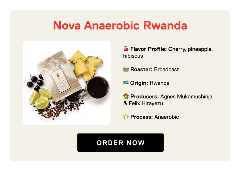 Limited Release: Nova Anaerobic Rwanda