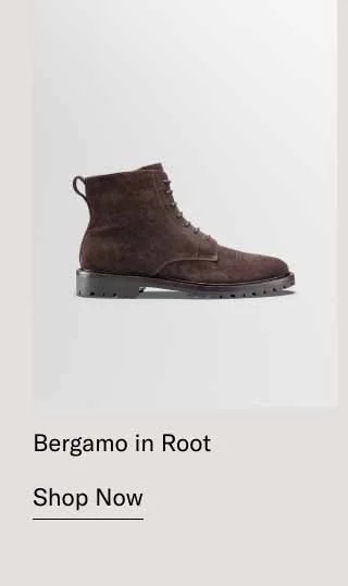 Bergamo in Root