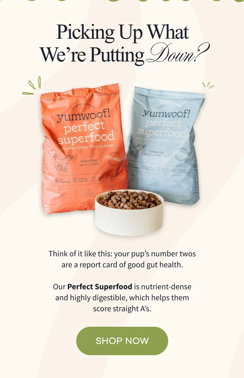 Picking Up What We’re Putting Down? | Think of it like this: your pup’s number twos are a report card of good gut health.  Our Perfect Superfood is nutrient-dense and highly digestible, which helps them score straight A’s. | SHOP NOW
