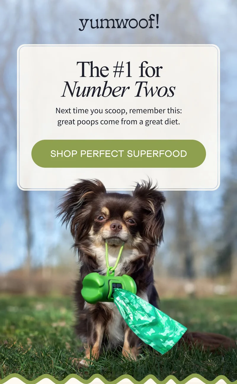 yumwoof! | The #1 for Number Twos | Next time you scoop, remember this: great poops come from a great diet. | SHOP PERFECT SUPERFOOD