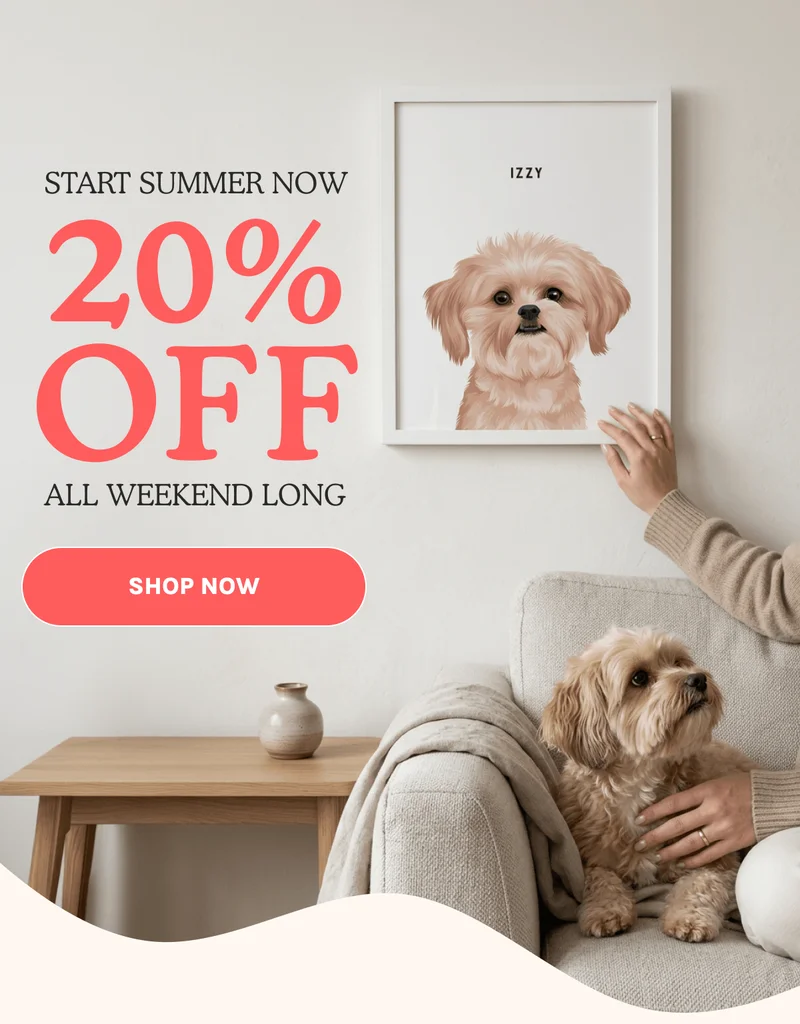 Shop Now