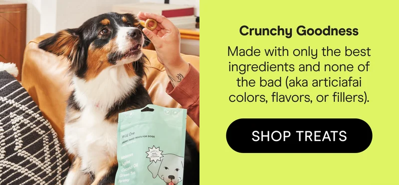 Crunchy Goodness