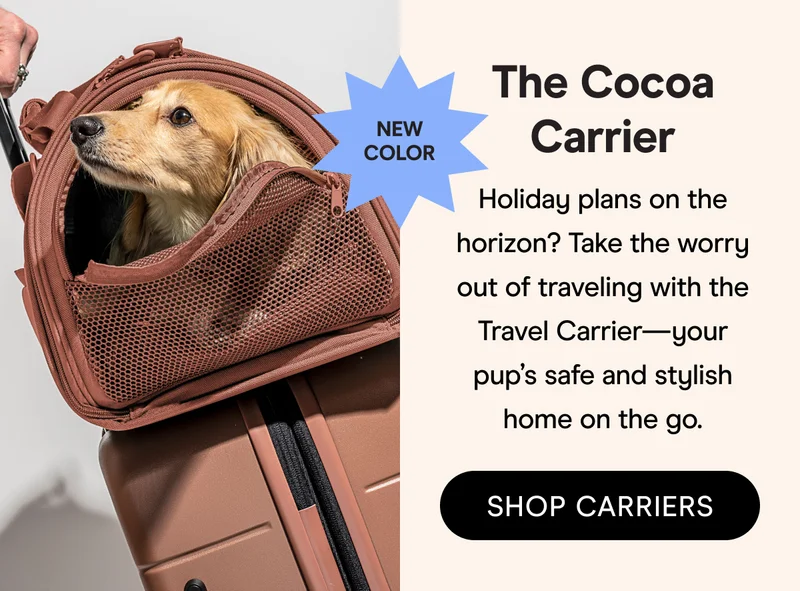 NEW! The Cocoa Travel Carrier