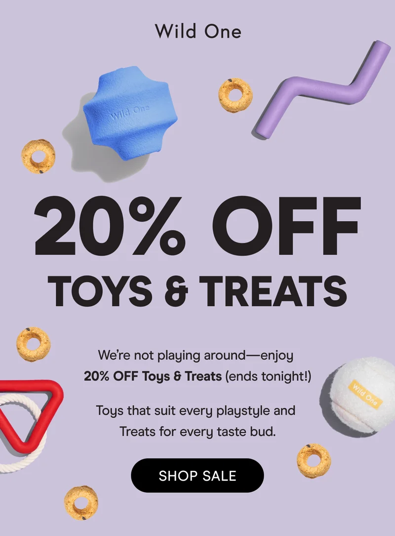 20% OFF Toys & Treats