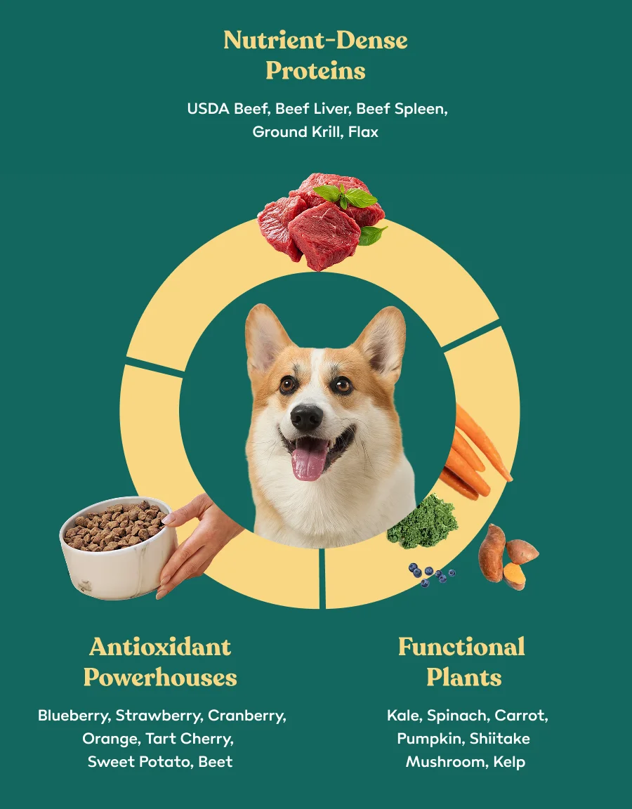 Why We Use Superfoods in Every Recipe
