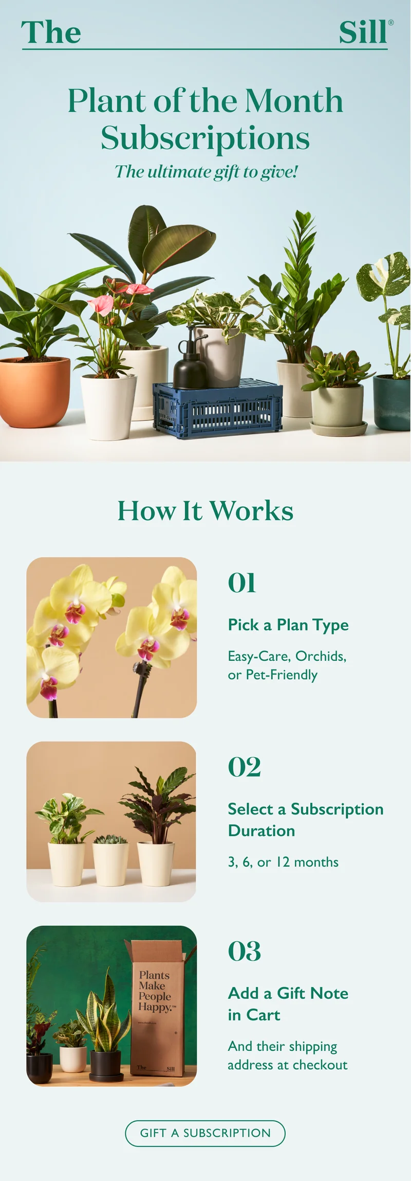 Plant of the Month Subscriptions - the ultimate gift to give! Pick a plant type, a duration, and a planter color.
