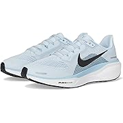 Pegasus 41