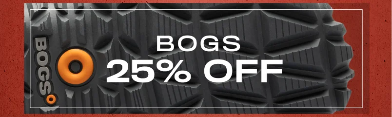 Bogs