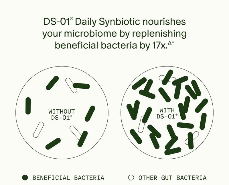 DS-01® Daily Synbiotic nourishes your microbiome by replenishing beneficial bacteria by 17x.Δ° | WITHOUT DS-01® (BENEFICIAL BACTERIA) | WITH DS-01® (OTHER GUT BACTERIA)