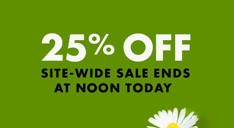 24 Hours, 25% Off
