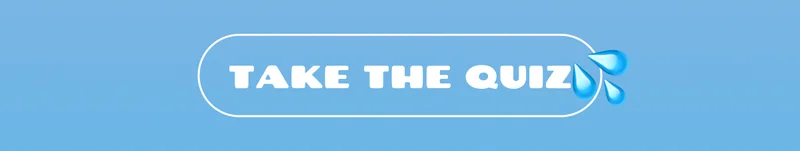 Take the Quiz