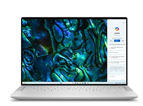 latitude laptop