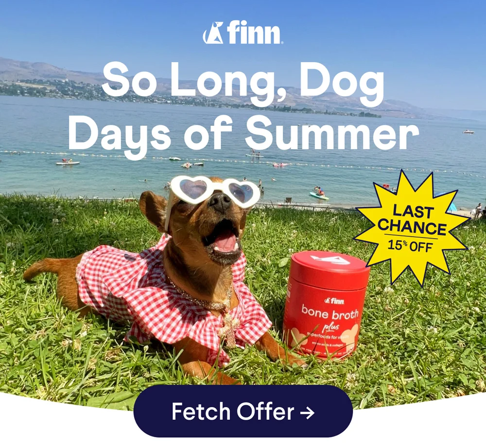 Last Chance for 15% Off! So Long, Dog Days of Summer