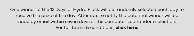 Terms & Conditions