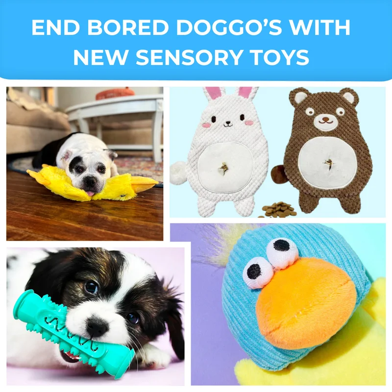 New Sensory Toys