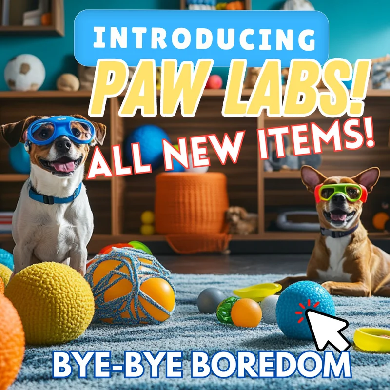 Introducing Paw Labs