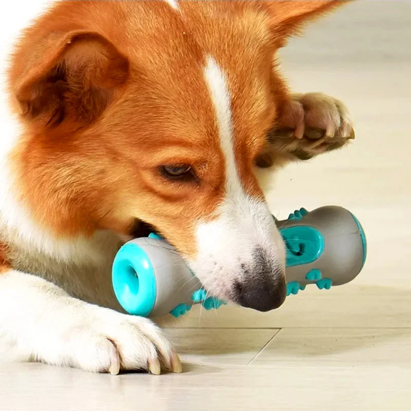 Image of Brush Bone: Teeth Cleaning Toy for Dogs
