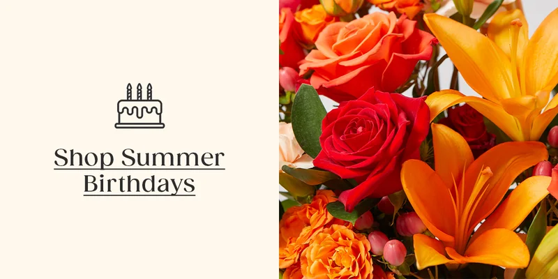 Shop Summer Birthdays