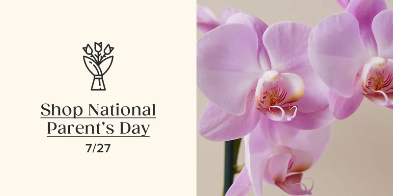 7/27 - Shop National Parent's Day