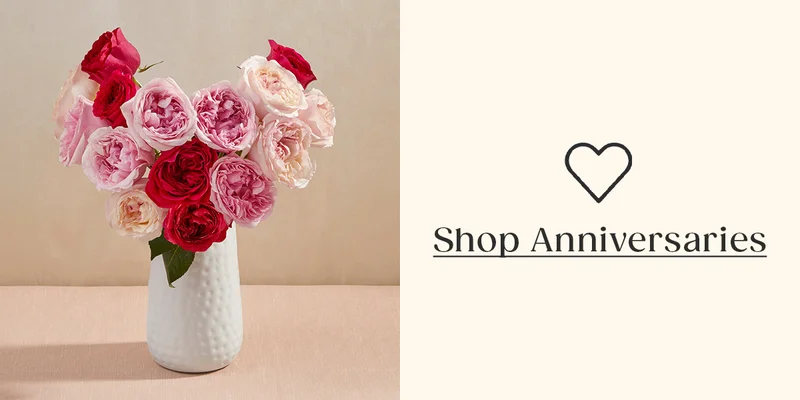 Shop Anniversaries