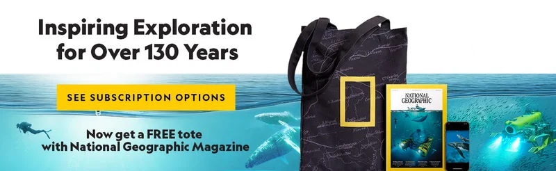 OPEN THEIR WORLD TO WONDER - GIVE THE GIFT OF NATIONAL GEOGRAPHIC.