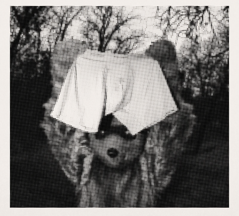 Quick Dry boxer briefs held up by the Pair of Thieves Bear