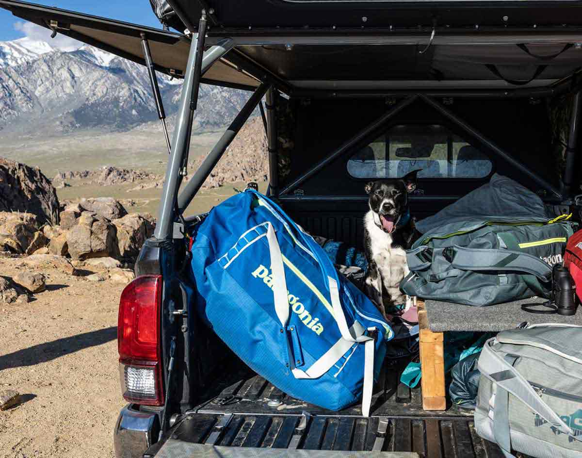 A Black Hole duffel in the back of a truck with a dog and some other bags.