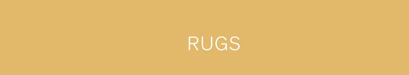 Shop Rugs