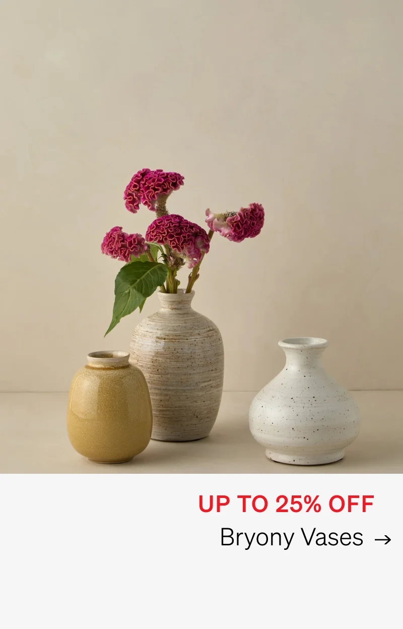 Shop Bryony Vases